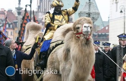Bi�goraj w&nbsp;czo��wce w&nbsp;og�lnopolskim konkursie-g�osowanie trwa