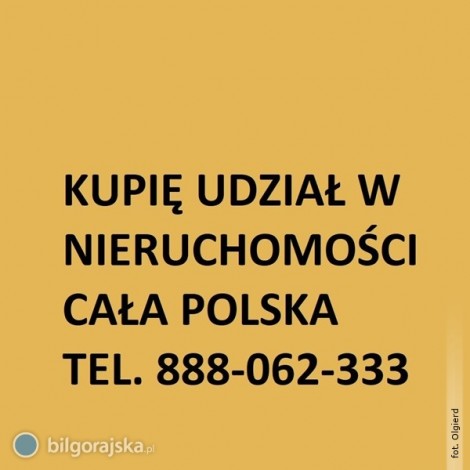 Kupi udzia w nieruchomoci w kadym stanie, CAA POLSKA