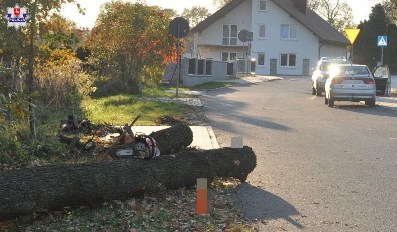 Ścięte drzewo przewróciło się na jadący drogą samochód