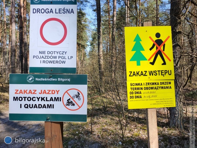 Mieszkańcy Biłgoraja walczą o las