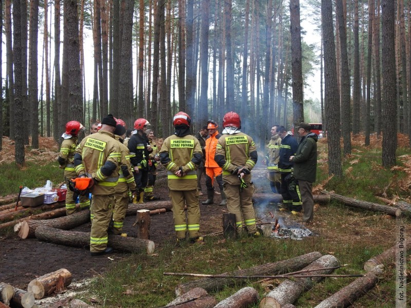 Szkolenie strażaków w biłgorajskich lasach