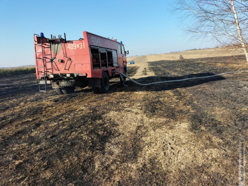 Spłonęło ponad 38 ha traw