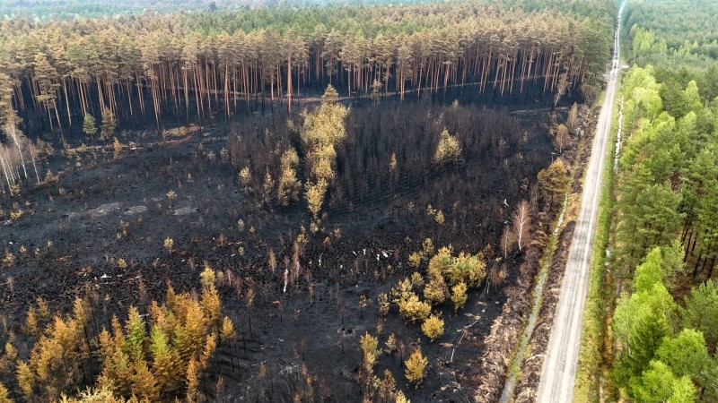 Ogromne straty po pożarze lasów. Władze zapraszają na spotkanie