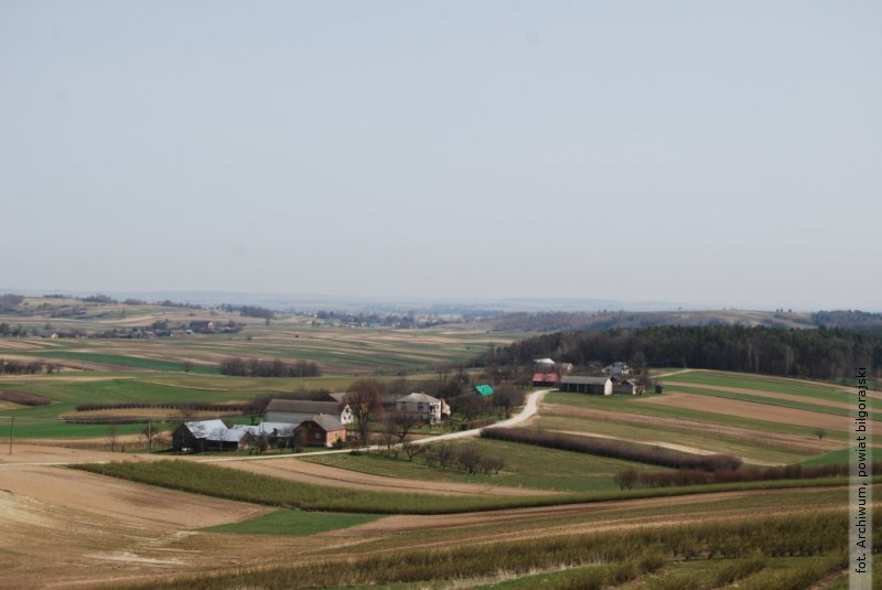 Nowe atrakcje na Roztoczu. Powstanie wieża widokowa