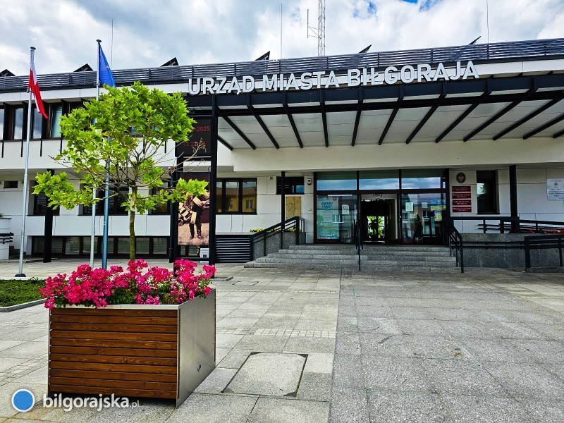 Wybory w Biłgoraju. Trwa głosowanie do Rady Seniorów