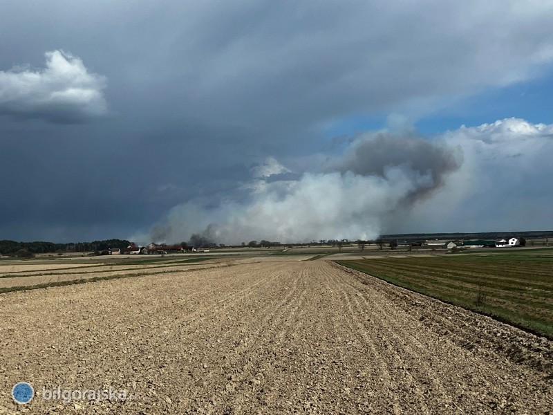 Groźny pożar w powiecie. Silny wiatr utrudnia akcję strażaków