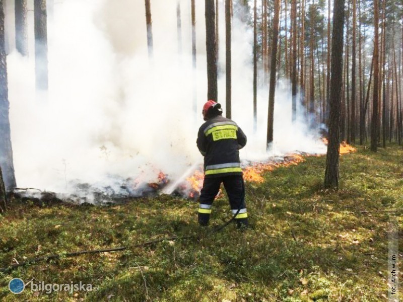 Duży pożar w powiecie. 16 zastępów straży i śmigłowiec w akcji